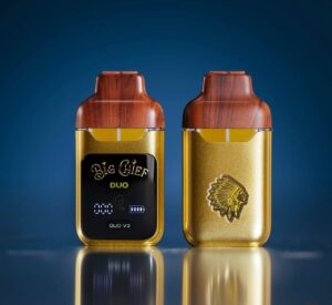 big chief disposable